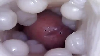 Gay Porn 0